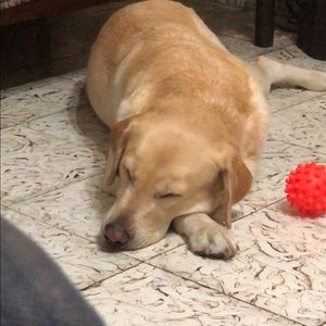 Meet your Posher, Sandra